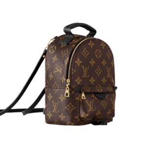 [럭셔리/해외배송]루이비통 팜 스프링스 백팩 미니(모노그램)